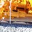 unused-2026-captok-qty-of-(8)-excavator-image-6