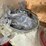 #9223-•-shelf-contents-of-right-side-image-10