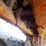 2018-liebherr-lh40c-litronic-image-55
