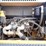 2012-deere-350g-lc-image-46