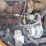 2012-case-580sn-wt-image-26