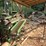 #134-•-2023-double-head-circular-resaw-w/-return-image-9