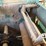 #129-•-2015-wood-mizer-eg300-multirip-edger-image-23