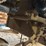 #141-•-pendu-unscrambler-image-13