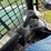 bobcat-t590-image-35