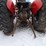 1989-massey-ferguson-231-image-12