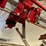 #126-•-2019-woodpecker-jr-pallet-nailer-image-24
