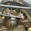 #125-•-1996-international-log-truck-image-39