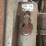 #126-•-2019-woodpecker-jr-pallet-nailer-image-26
