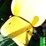 john-deere-5045e-image-8