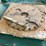#129-•-2015-wood-mizer-eg300-multirip-edger-image-30