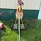 richard-stork-antique-tractor,-classic-car-and-equipment-estate-auction-image-5
