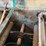#129-•-2015-wood-mizer-eg300-multirip-edger-image-14