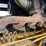 timberjack-460d-image-80