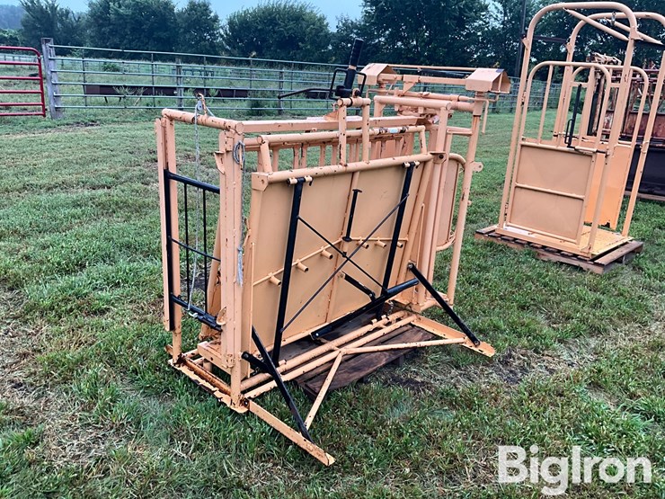 for-most-calf-working-chute-image-5