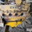 caterpillar-3208-image-19