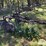 john-deere-2-image-3