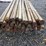 round-wooden-fence-posts-8'l-image-5