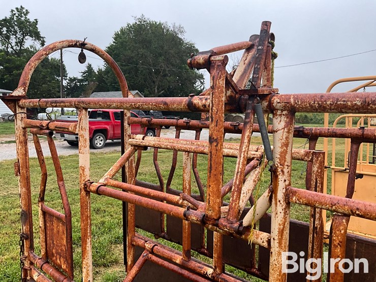 for-most-cattle-working-chute-image-19