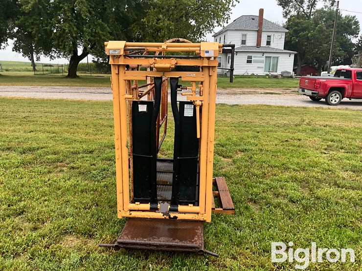 for-most-cattle-working-chute-image-2