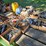 #8000-•-live-on-the-ground-only-items-image-26