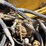 2019-caterpillar-352f-image-45