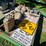 #8000-•-live-on-the-ground-only-items-image-70