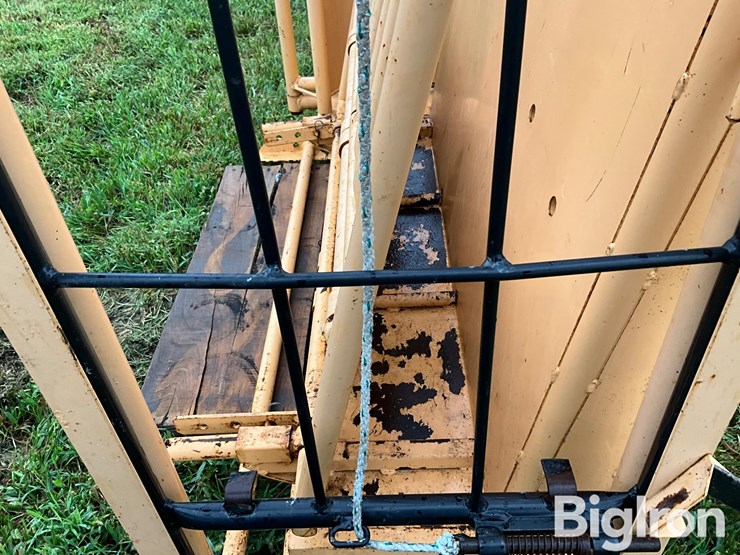 for-most-calf-working-chute-image-15