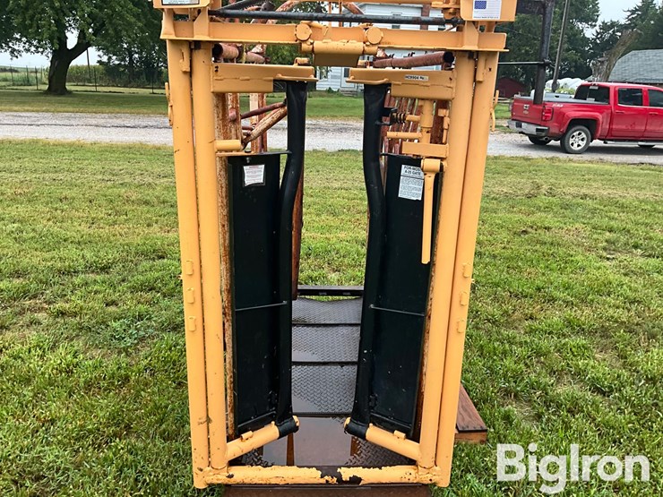 for-most-cattle-working-chute-image-11
