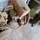 #8768-•-rear-tine-garden-tiller-image-9