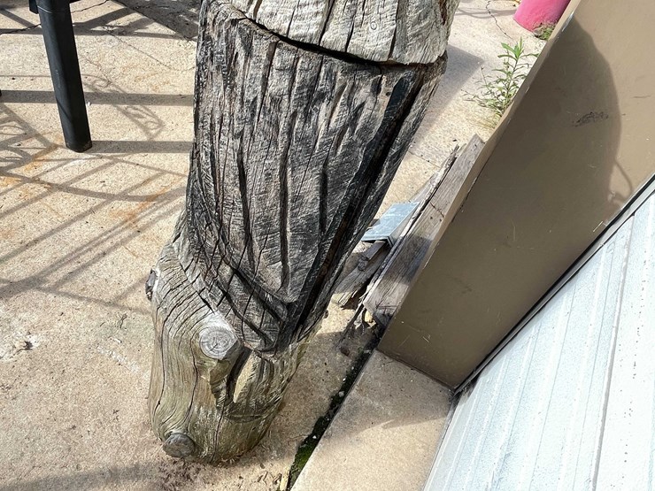#4063-•-eagle-wood-carving-(03)-image-6