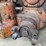 allis-chalmers-hd5-image-103