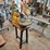 #8713-•-dewalt-scroll-saw-image-10