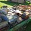 #8000-•-live-on-the-ground-only-items-image-48