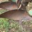 #25270-•-ferguson-2-bottom-plow-image-9