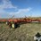 krause-2139-image-3