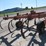 massey-ferguson-129-image-6