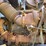#2486-•-2015-case-570nep-skip-loader-image-76