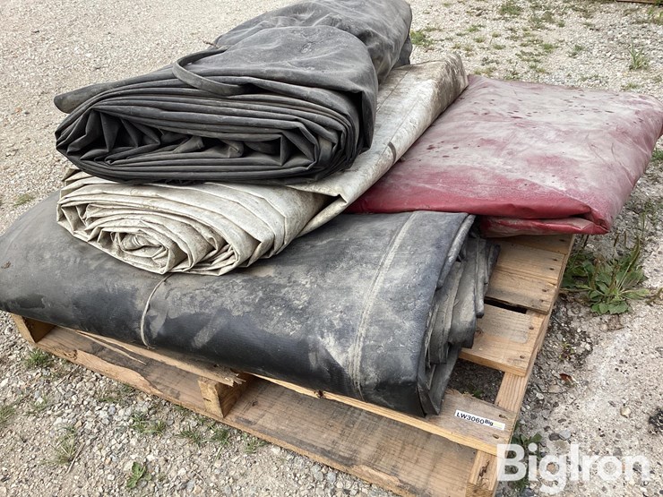 vinyl-big-cam-image-11