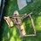 #8749-•-international-cub-front-blade-image-3