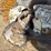 2007-roadtec-fb100-image-23