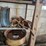 #8780-•-shelf-contents-lot-image-11