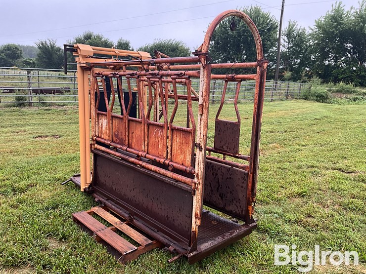 for-most-cattle-working-chute-image-7