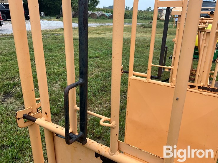 for-most-palpation-cage-image-9