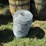 #50198-•-lot-of-(2)-unused-2-rolls-of-barbed-wire-inv#50198-image-2