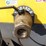 2018-atlas-copco-xas1800jd8-image-24