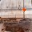 #1652-•-bundle-of-white-oak-boards-image-4