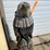 #4063-•-eagle-wood-carving-(03)-image-4