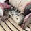 kenworth-side-mount-battery-box-w/-air-tank-image-11