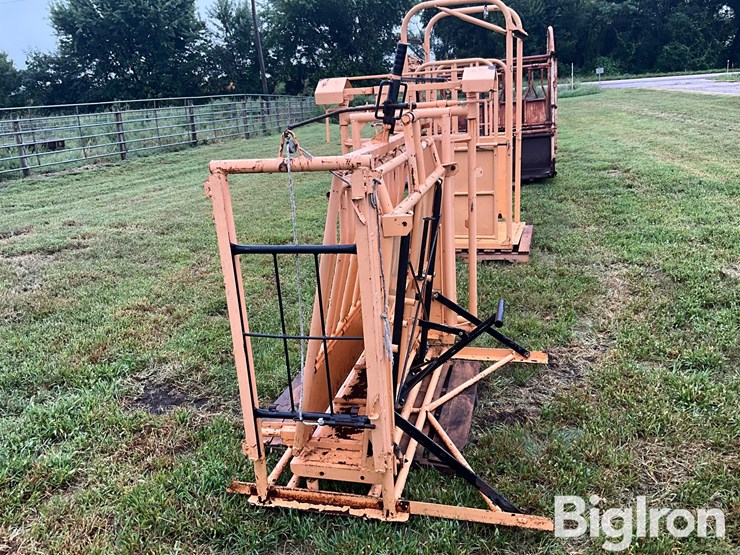 for-most-calf-working-chute-image-6